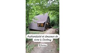 Chalet Sequoia 138 Nature, Piscine Et Chien Bienvenu A Durbuy